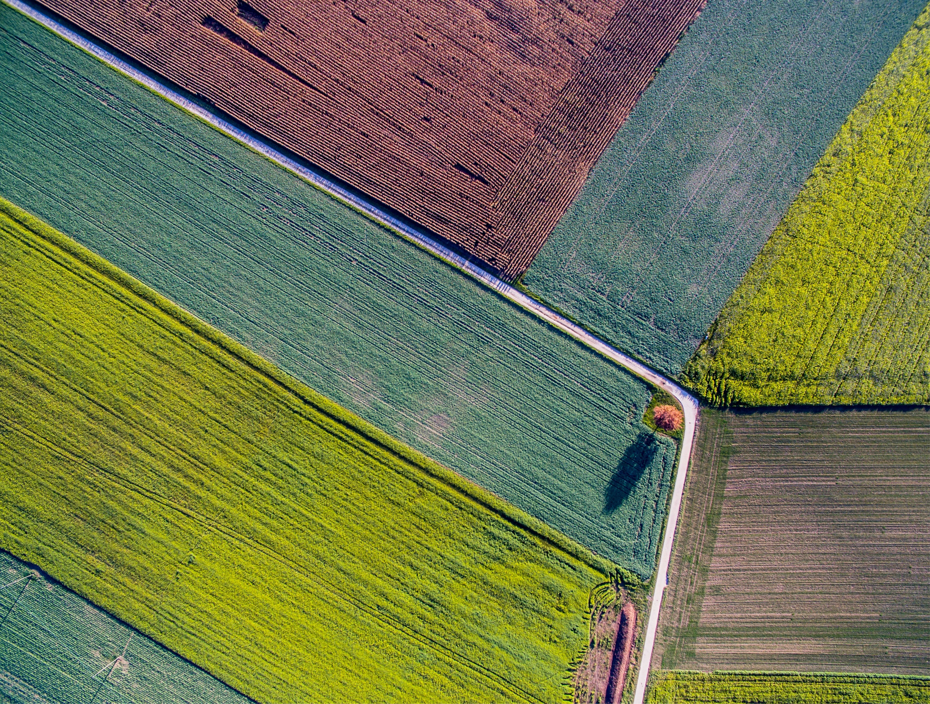 Mineral fertilizers
