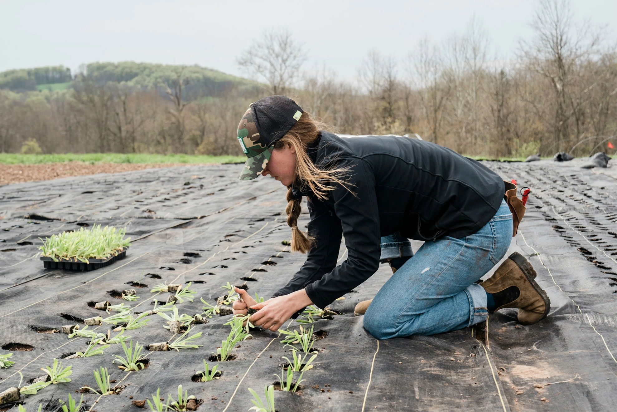 Agronomy story